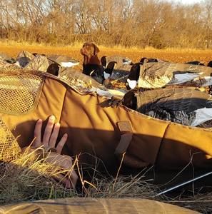 Meet your Posher, Riley